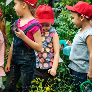 activitats-temps-lliure